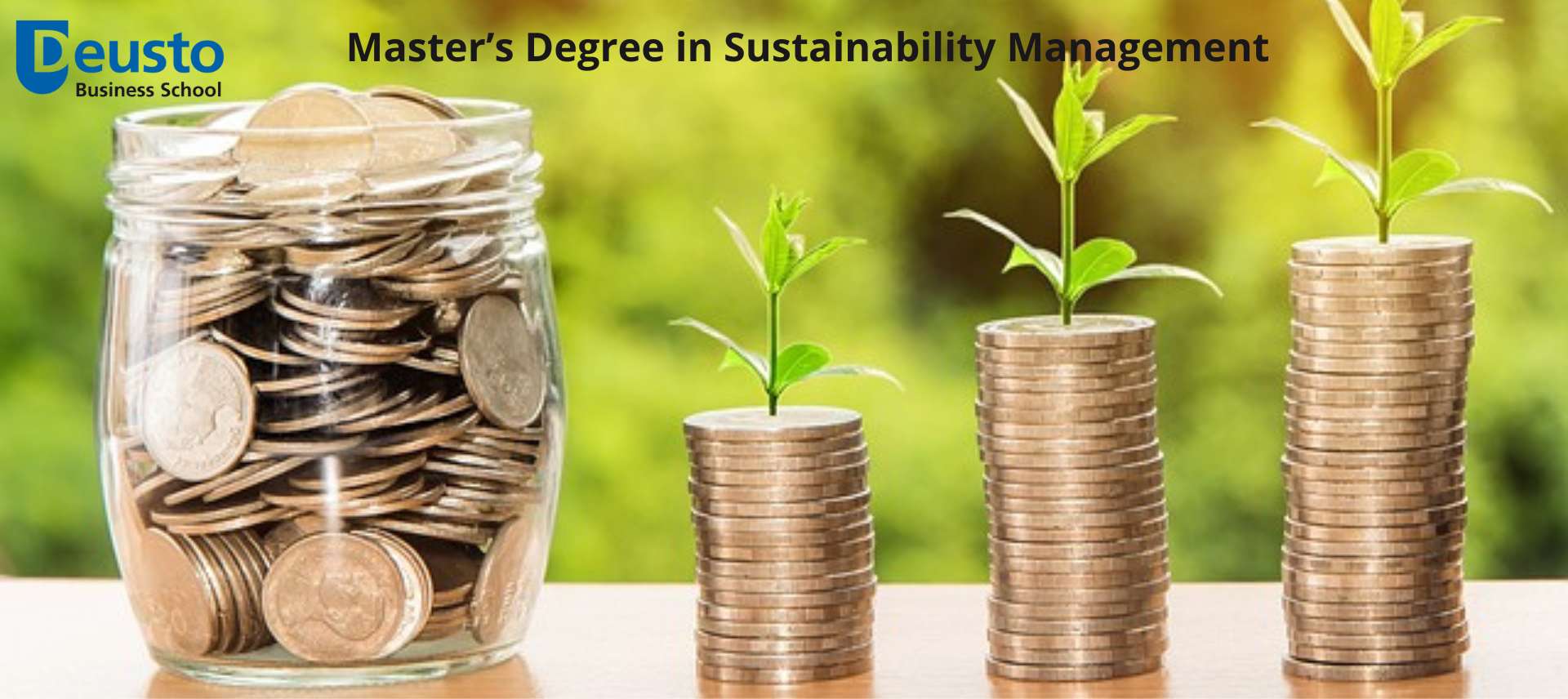 web_2020_Master’s Degree in Sustainability Management.jpg web_2020_Master’s Degree in Sustainability Management.jpg